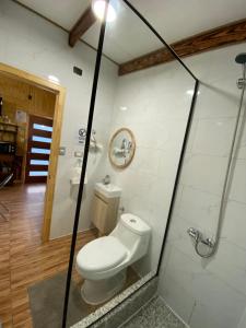 a bathroom with a white toilet and a shower at Departamentos Eldestino in Puerto Puyuhuapi +24 photos