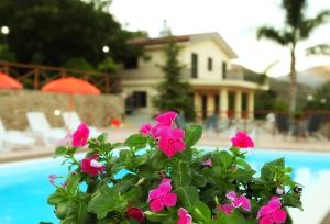 Afbeelding uit fotogalerij van La Parrinara in Francavilla di Sicilia