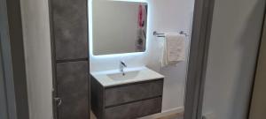 a bathroom with a sink and a mirror at Paradies Caraïbes II in Les Abymes +15 photos