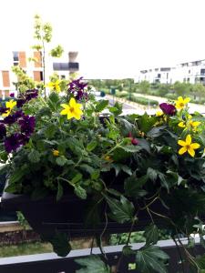 una maceta de flores sentada en el alféizar de la ventana en Appartement Copenhague Disneyland, en Montévrain