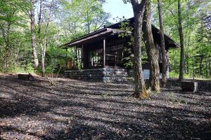 a log cabin in the middle of a forest at The Cabin by Deep Gorge in Kita-karuizawa