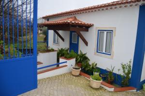 a house with a blue door and potted plants at Quinta Manel da Gaita in Torres Novas