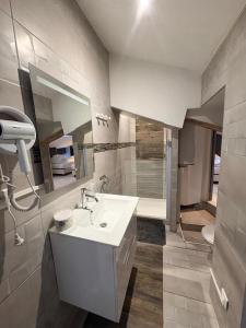 a bathroom with a white sink and a shower at Sci ZLR in Saint-Étienne