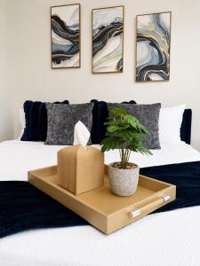 a plant in a box on a bed with four paintings at Sapphire Loft Midtown in Atlanta