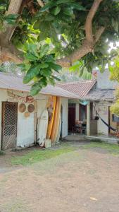 a house with a bunch of surfboards in it at Susan Homestay in Batukaras +18 photos
