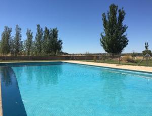 a large blue swimming pool with trees in the background at La Casona del Tormes in Almenara de Tormes