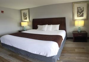 a large bed in a hotel room with two lamps at Western Inn in Forest Park