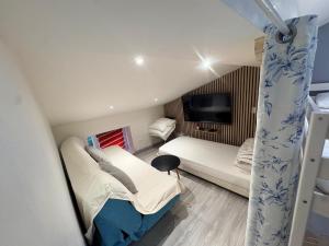 a small room with a bed and a tv at Sci ZLR in Saint-Étienne