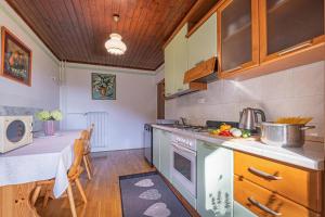 a kitchen with a stove and a counter top at House Marija with BBQ & Garden - Happy Rentals in Gradišča