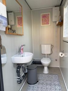 a bathroom with a sink and a toilet at Obstgarten im Warnetal- Campingfass Wabe in Gielde