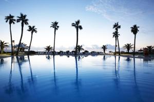 a large swimming pool with palm trees in the background at Haevichi Hotel & Resort Jeju in Seogwipo