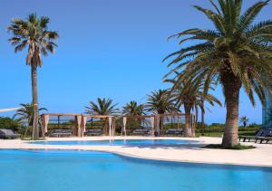 a swimming pool with palm trees and chairs at Haevichi Hotel & Resort Jeju in Seogwipo