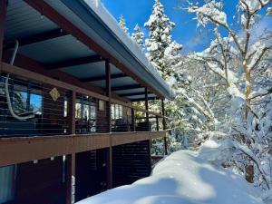 a house covered in snow next to a tree at Bears Den Mountain Lodge in Hakuba
