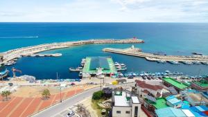 an aerial view of a harbor with a marina at Donghae Goldenview Pension in Donghae