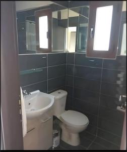 a bathroom with a white toilet and a sink at Waves of Millos in Skopelos Town +12 photos