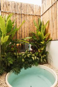 a swimming pool in a garden with plants at NOMAD Chic Private Pool Loft in Canggu, all inclusive stay in Dalung