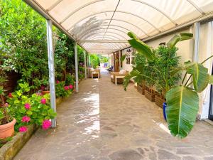 ein Gewächshaus mit Pflanzen und Blumen darin in der Unterkunft Hotel Kinda in Castiglione della Pescaia