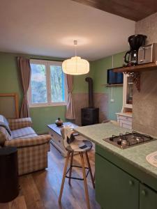 a kitchen with green walls and a counter top at Chez Mikki in Cassaniouze