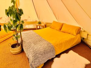 a bedroom with a bed in a tent at Maesbury Meadows in Binegar
