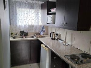 a kitchen with a sink and a counter top at Witteberg in Krugersdorp