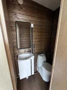 a small bathroom with a toilet and a sink at Töyräniemi in Pälkäne +29 photos