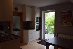 a kitchen with a door leading to a patio at FeWo Vobbe in Dänischenhagen