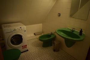 a bathroom with a green sink and a washing machine at FeWo Vobbe in Dänischenhagen