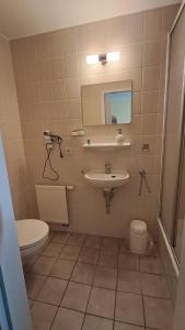 a bathroom with a sink and a toilet and a mirror at Ratskeller Geising in Geising +25 photos