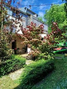 a house with a tree with pink flowers in the yard at Penzión Malý Dvor in Štúrovo