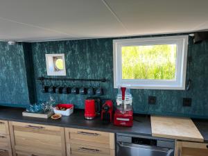 a kitchen with a green wall with a window at WoonBoten Anna in Andijk