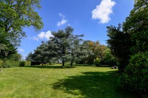 a grassy field with trees and a blue sky at La Bulle in Verton