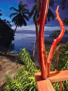 a red sculpture of a tree next to the ocean at Banua Guesthouse in Pulau Malenge +3 photos
