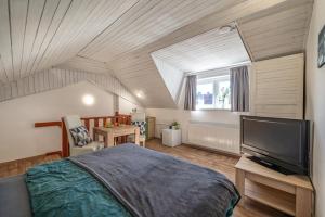a bedroom with a large bed and a television at Pension Elbrs in Mariánské Lázně