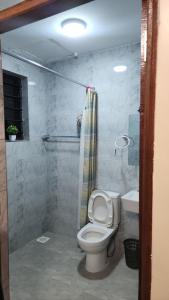 a bathroom with a toilet and a shower at Blooming Sanctuary in Ruiru +20 photos