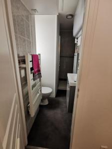 a small bathroom with a toilet and a sink at Studio au coeur pays basque in Ustaritz