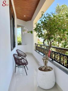 a bonsai tree on a balcony with two chairs at New Sitơ Hotel in Quảng Ngãi