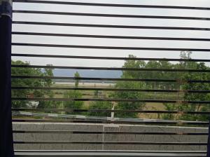 ein Fenster mit Blick auf ein Feld mit Bäumen in der Unterkunft Rana Complex in Nādaun