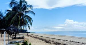 a beach with a palm tree and the ocean at Summer Studio Suit in Malindi +2 photos
