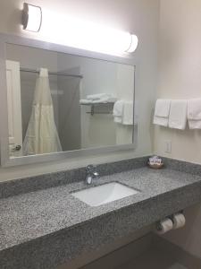 Vannituba majutusasutuses Scottish Inn & Suites - Conroe