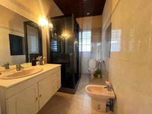 a bathroom with a sink and a shower and a toilet at villa des roses in Bergerac +6 photos