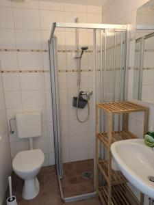 a bathroom with a shower and a toilet and a sink at Lutz Appartements Südheide - Einzelzimmer in Gifhorn +6 photos