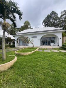 a white house with a palm tree in the yard at The Breezy Volcano in Kintamani