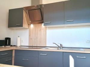 a kitchen with blue cabinets and a sink at Ferienwohnung RoSi in Ebermannstadt