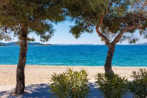 two trees on a beach near the water at Rose Diamond Villa - cosy, large, family mobile home, free wifi and parking in Pakoštane