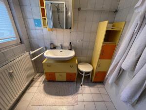 a small bathroom with a sink and a mirror at Waldliebe Spiegelhütte - Ferienwohnung am Bach in Lindberg