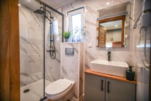 a bathroom with a toilet and a sink and a shower at Domek Klara in Wałbrzych