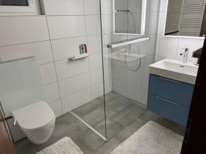 a bathroom with a shower and a toilet and a sink at Chez Aless in Ovronnaz +36 photos