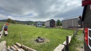 a farm with two barns and a grass field at Domki Pod Stromcem in Czernica