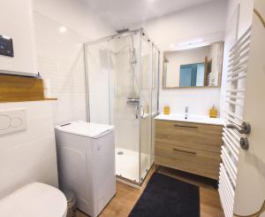 a bathroom with a shower and a toilet and a sink at la Pascaline in Saint-Clément-de-Rivière +35 photos