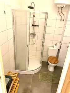 a bathroom with a shower and a toilet at Grądy-Woniecko Place in Grądy